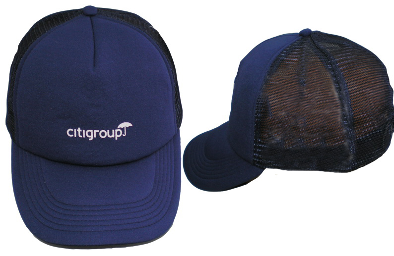 HCM 013