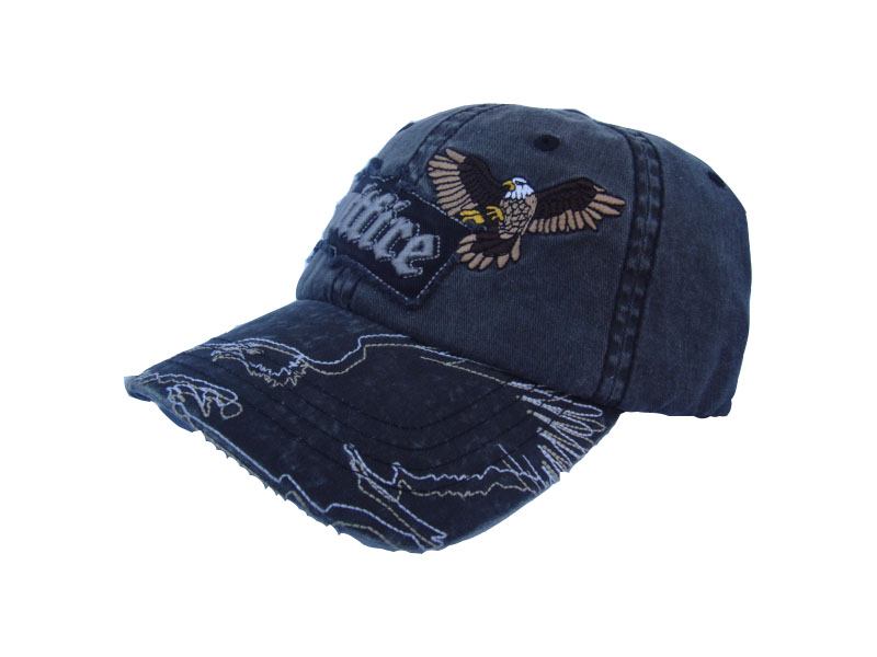 HCW009