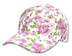 Click View HCF 008 information