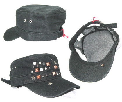 HCA 010