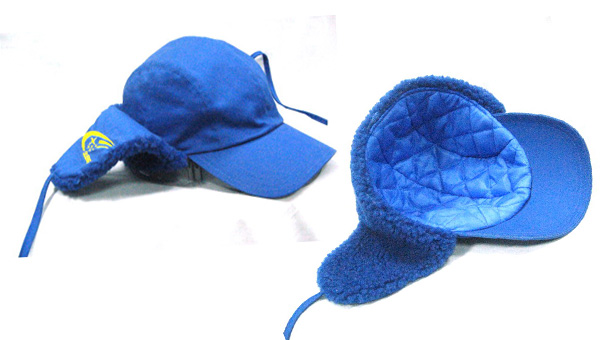 Click View HCW 004 information