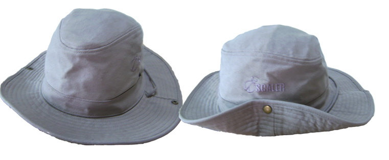 HCS 008