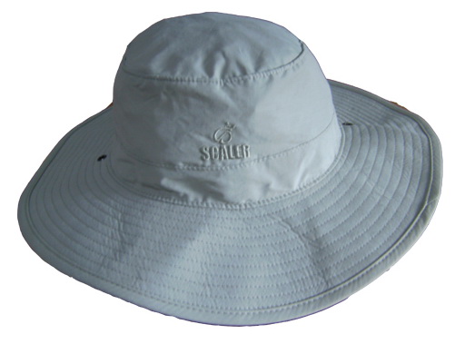 HCS 006