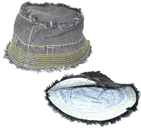 HCS 003