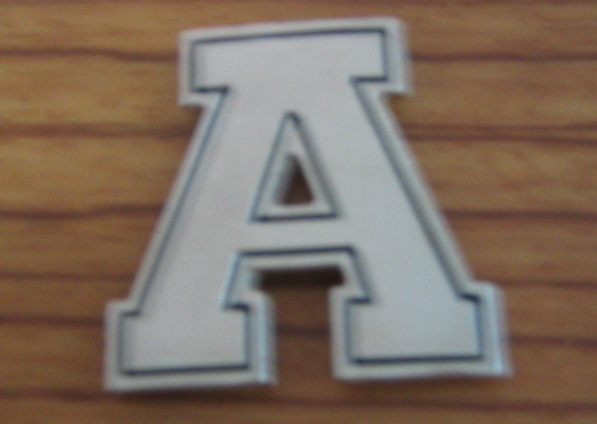 METAL BADGE 2